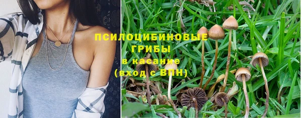 метамфетамин Алексин