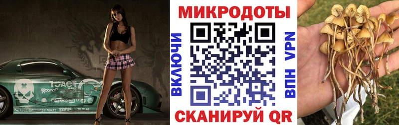 Галлюциногенные грибы Psilocybe  Спасск 